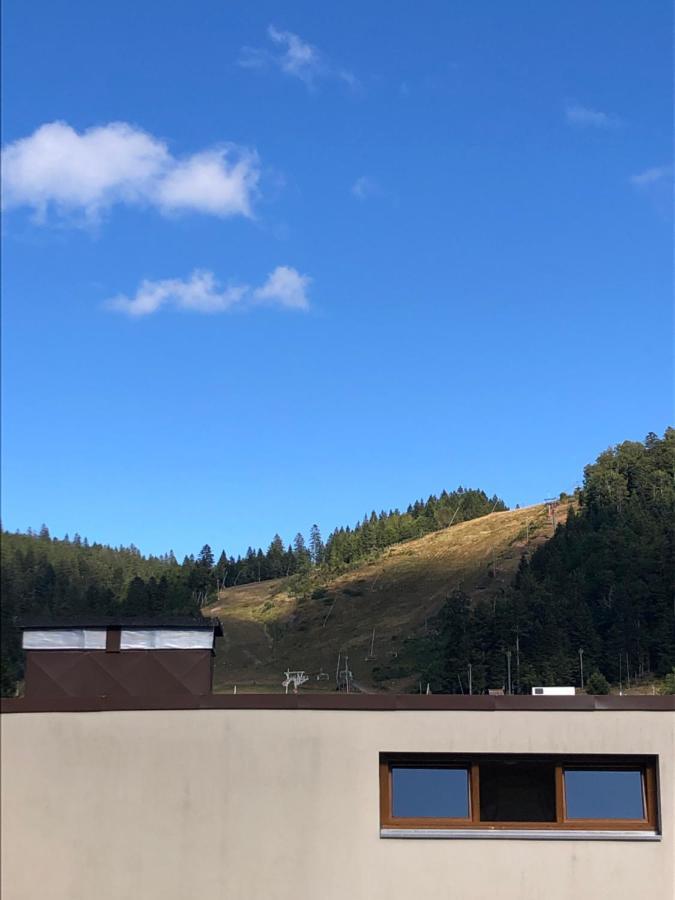 Studio La Bresse Chez Sandra Экстерьер фото